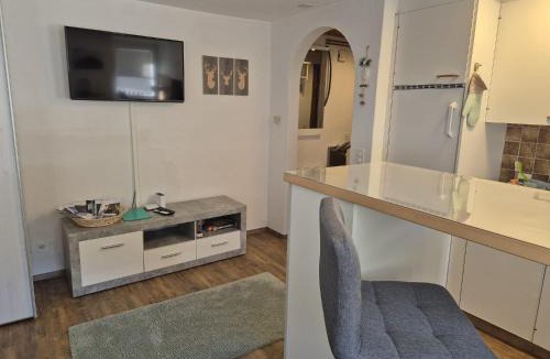 Ravaisch Apartment | Haus Crestas