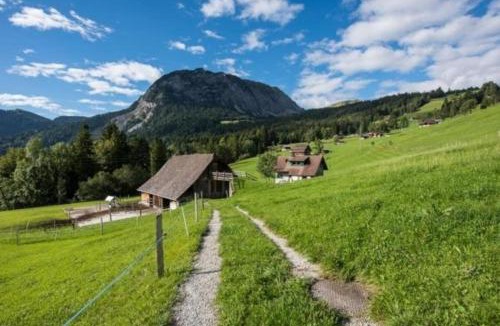 Giswil House | Haus Eberli-Bussmann