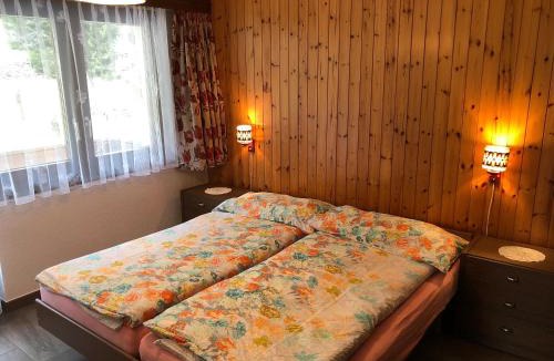 Saas Grund Apartment | Haus Erle