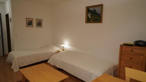 Davos-Platz Apartment | Haus Green 31
