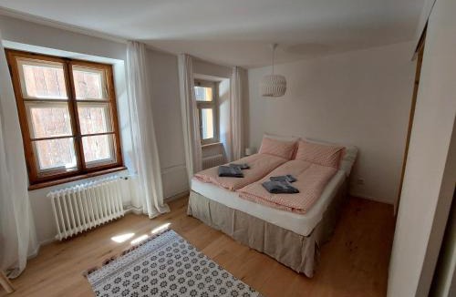 Tinizong-Rona Apartment | Haus La Punt, Savognin