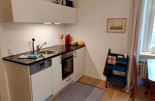 Tinizong-Rona Apartment | Haus La Punt, Savognin