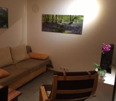Wiler Apartment | Haus Melodie