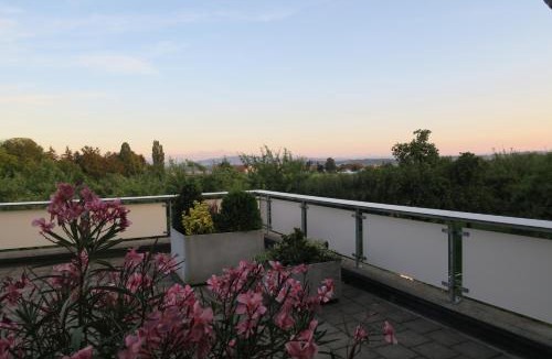 Dozwil House | Haus St.Michael