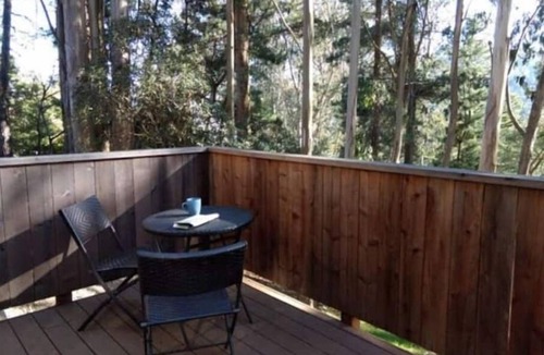 Tamalpais-Homestead Valley Apartment | Haven in the trees, minutes from hiking trails