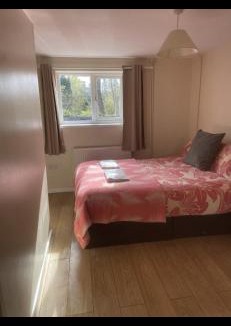 Margam House | Haven of Trees - Hafan Y Coed