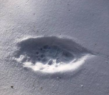 Johnsburg House | Hawkeyes Rest