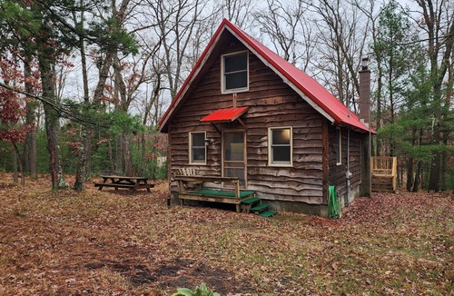 Paris Cabin | Hawkins Hideout Cabin, Starlink Wi-Fi, Hot Tub!