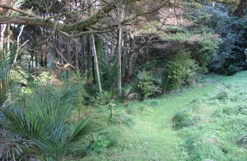 Whangateau House | Hawks Nest Hideaway. Ocean View, Private Bush Walk