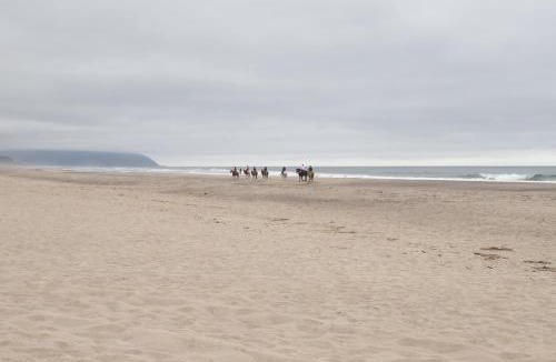 Kiwanda Shores House | Haystack Landing