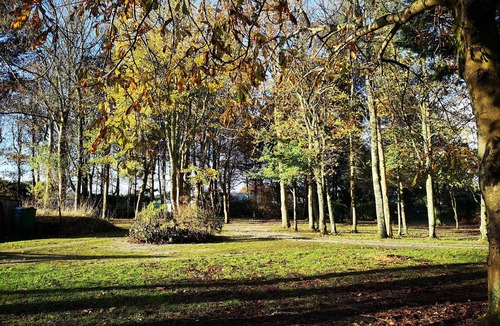 Goonhavern Cottage | Hazel Croft sleeping 5, woodland setting near great beaches