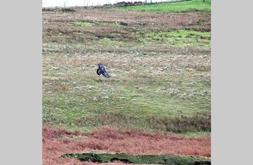 Stein Apartment | Hazelbank Self Catering