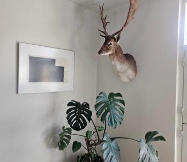 Odense Apartment | HCA House