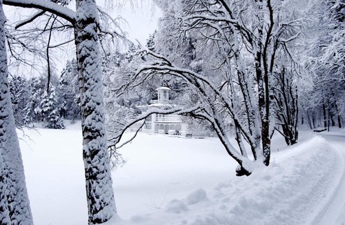 Barvikha Resort | Health Resort Barvikha