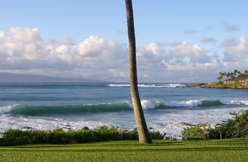 Napili Condo | Hear the waves. Oceanfront studio condo