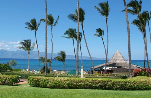 Napili Condo | Hear the waves. Oceanfront studio condo