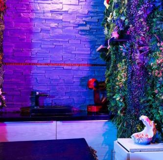 Quartier Exposition-Bajatiere Apartment | Heart jungle