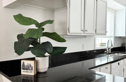 Stowe Area House | Heart of Stowe Riverview Escape