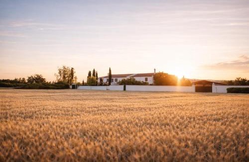 Chinchon House | heart & ponie - Retiro Rural Privado con Piscinas