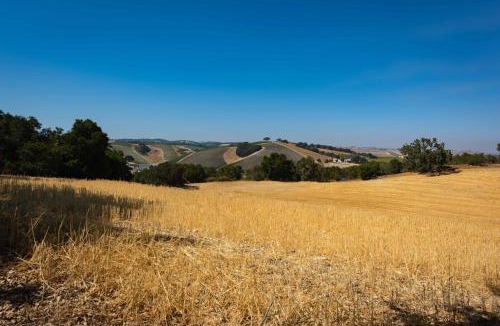 Paso Robles House | Heartview Cottage