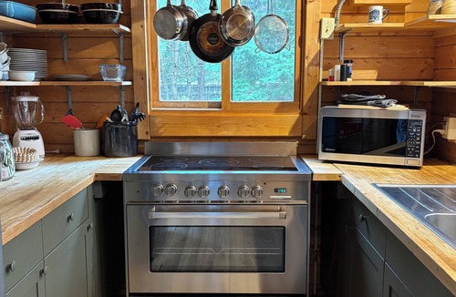 Leavenworth Cabin | Heated Pool, Hot Tub, Fenced Acre for Dogs, Views, EV Charger