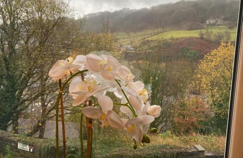 Wadsworth House | Hebden Royd House Hebden Bridge