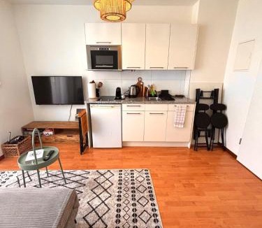 District 4 Apartment | Helle Wohnung im Herzen von Zürich 24h CheckIn