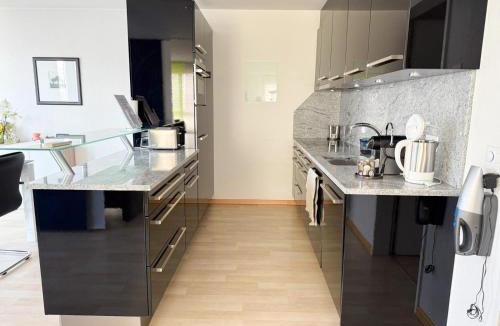 Glattbrugg Apartment | Helles klimatisiertes 100m2 Apartment Nähe Flughafen & Zürich City