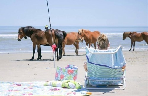 Corolla House | Hemingway & Mark Twain Estate | Weddings & Events | 32BR Sleeps 72 | OBX