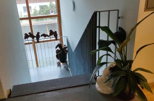 Martisberg Apartment | Herberge Balmweid 1