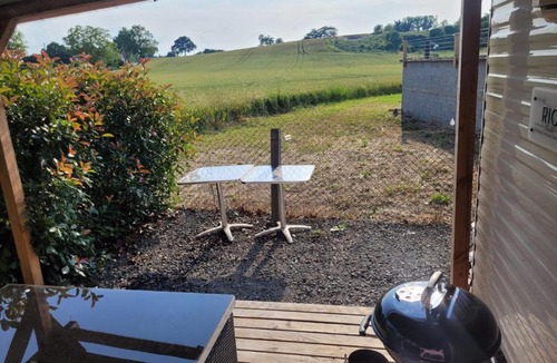 Maringues Other | Herbes de Pampa