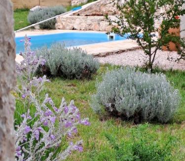 Cista Velika Villa | Heritage House Vrime - stone house with heated pool