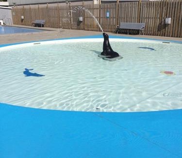 Herlufmagle Hotel | Herlufmagle Hallen