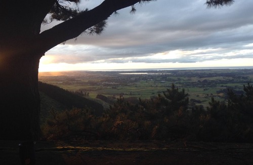 Koputaroa Cabin | Hermits' Hideawayn - A rustic, off grid cabin in the woods