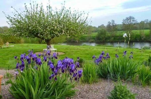 Byford Cottage | Herons