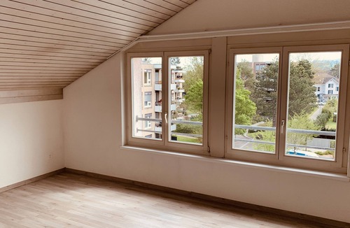 Frauenfeld Apartment | herziges Apartment mitten im schoenen Thurgau