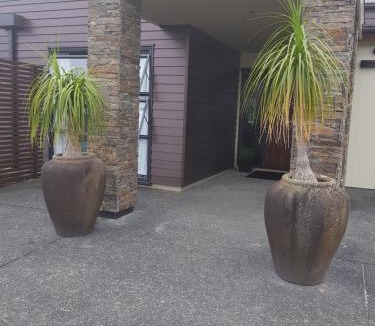 New Plymouth Bed & Breakfast | Heta Road B&B