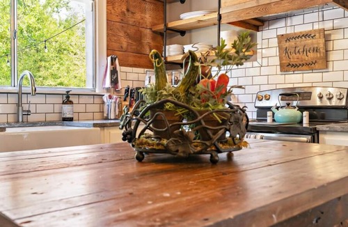 North Waco House | HGTV’s “LITTLE HOUSE” w/huge deck and grill
