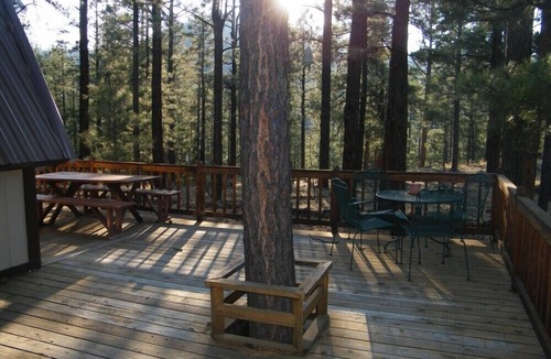 Greer Cabin | Hibernation Hideaway Rustic Cabin In The Forest