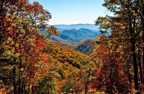 Gatlinburg House | Hibernation Station, 2 BR, Pool Access, Hot Tub, Fireplace, Sleeps 4