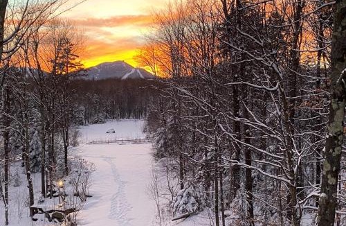 Jay House | Hibernation Station