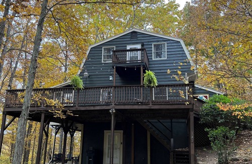 Boone Cabin | Hickory Hollow: Boone's Best Adventures