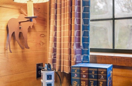 Loughman Cabin | Hidden Disney Cabin w/playground- Close to theme parks!