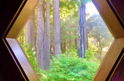 Inglenook House | Hidden Gem! Great views, fireplace, stars & nature