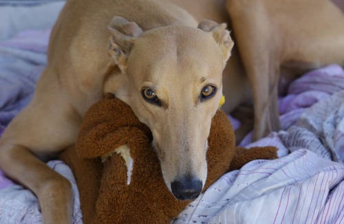 Maloneys Beach House | Hidden Gem in Maloneys Beach