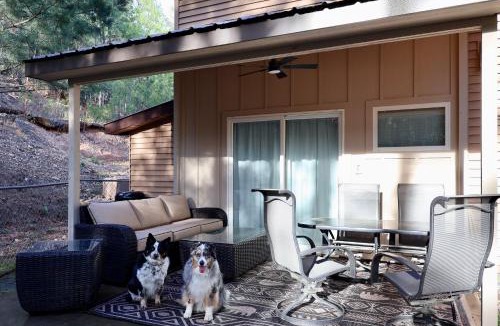 Hot Springs Village House | Hidden Hillside Retreat - A Secluded Modern Cabin