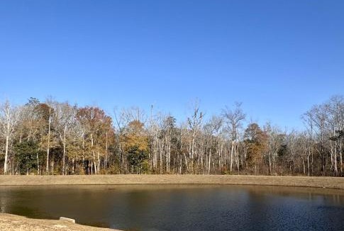 Cottonwood Other | Hidden Hollow RV Park