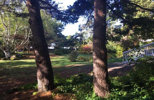 Yachats House | Hidden Luxury Beachfront Estate