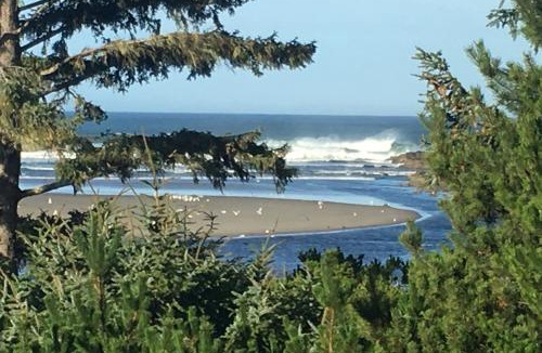 Yachats House | Hidden Luxury Beachfront Estate
