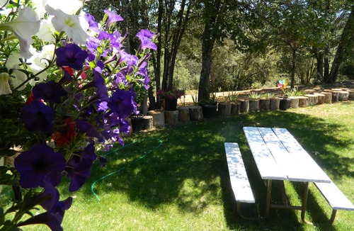 Mariposa House | Hidden Treasure on the way to Yosemite Valley full of Native American History